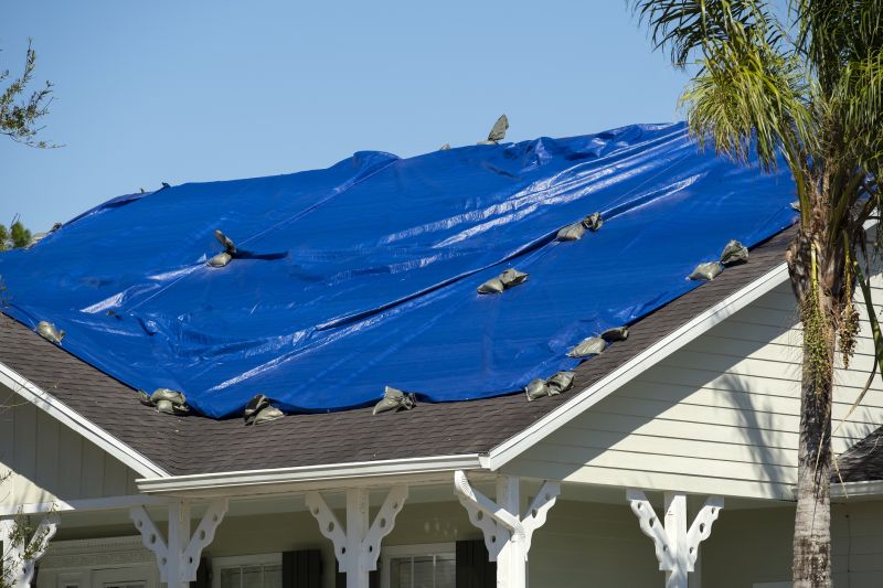 Tarping Service